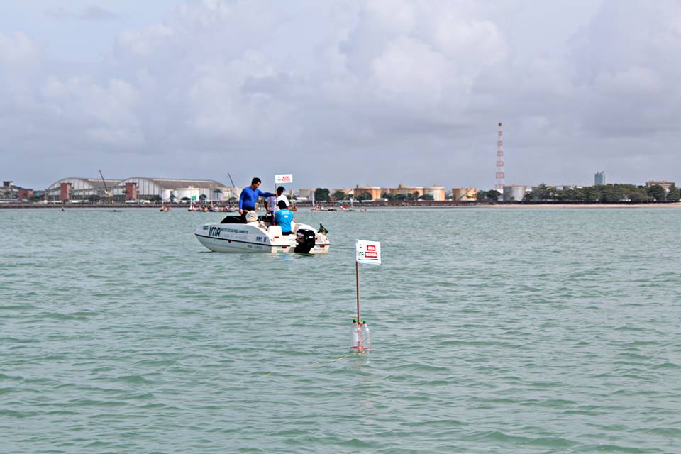 piscina do amor - boias3