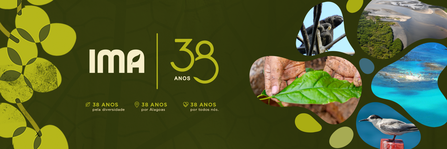 IMA/AL 38 anos