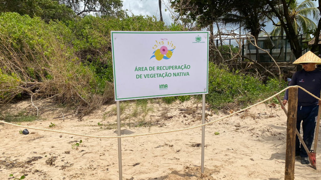 Instrução define regras de como essas estruturas devem ser usadas