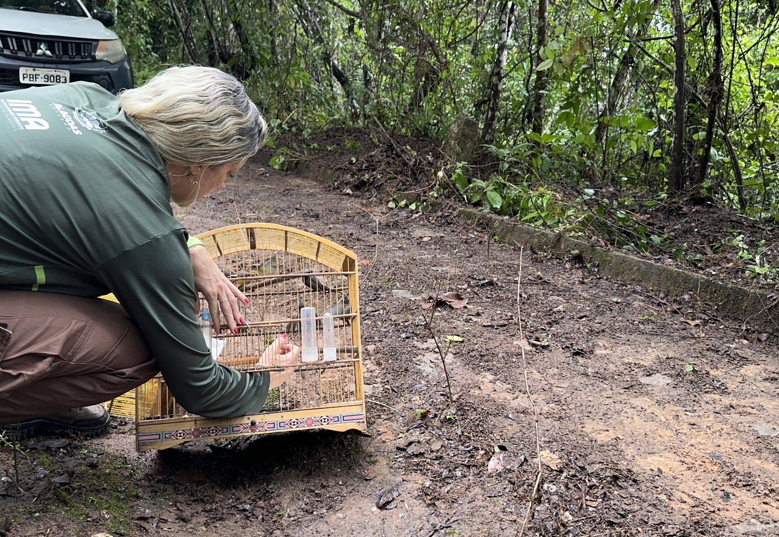 Centro de Triagem solta 164 animais silvestres em área de Mata Atlântica em Alagoas Centro de Triagem solta 164 animais silvestres em área de Mata Atlântica em Alagoas